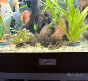 Accessori per animali