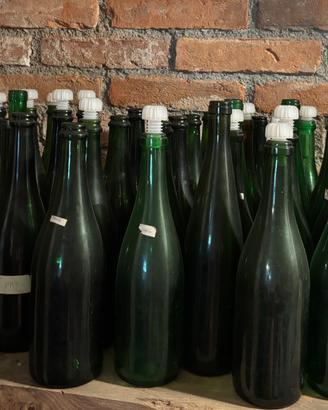 Bottiglie di vino di vetro vuote