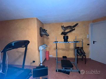 Home gim