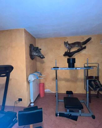 Home gim