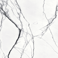 GRANDI LASTRE IN GRES PORCELLANATO 160X320 CM