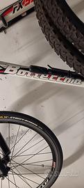 Mountain Bike Bottecchia