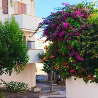 Rodi gargano Foggia Puglia italy casa