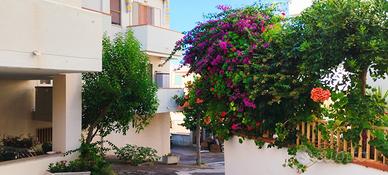 Rodi garganico Puglia italy casa