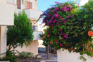 Rodi garganico Puglia italy casa