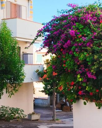 Gargano Foggia Puglia casa appartamento