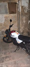 Nox Fiemme 125
