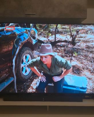 Tv LG 65 pollici 