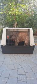 trasportino per cani 