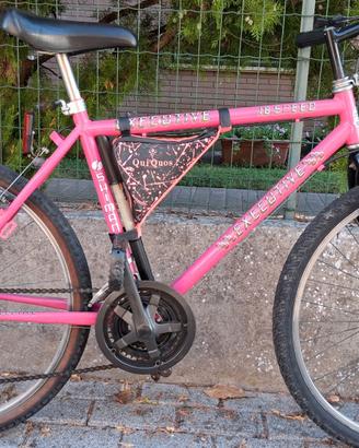 Bicicletta Mtb ruote 26" 