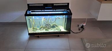 Acquario 80 litri