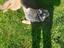 Immagine 1