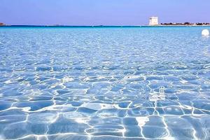 PortoCesareo 80m mare disponibilità x settembre
