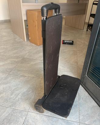 Carrello portapacchi pieghevole con ruote