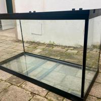 Acquario con accessori