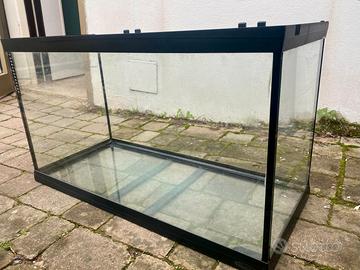 Acquario con accessori