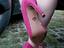 Immagine 5