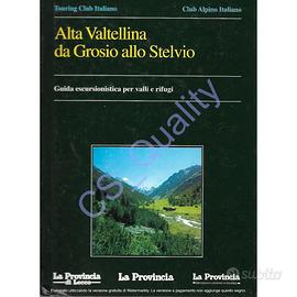 Alta Valtellina da Grosio allo Stelvio - AAVV