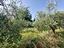 Immagine 25