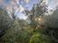 Immagine 19