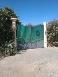 terreno agricolo 
