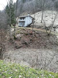 Rustico e 40.000 m2 di bosco