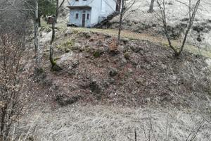 Rustico e 40.000 m2 di bosco