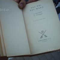 Dei del mare uomini pericolosi aviatori caporetto