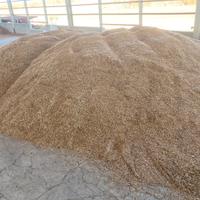 Avena