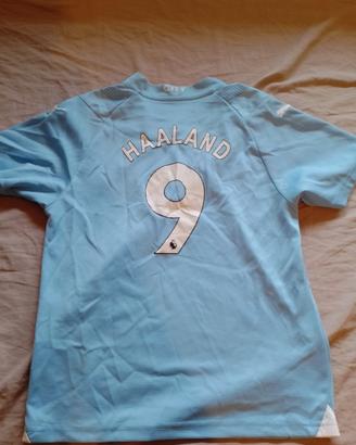 football t-shirt of the player hallan