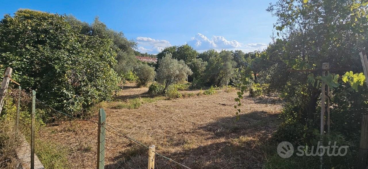 Casale e terreno a taizzano no agenzia - Vista 3
