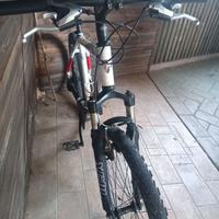 BICI MTB FRW