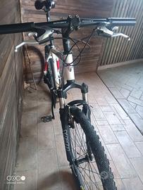BICI MTB FRW