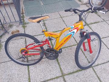 bicicleta 