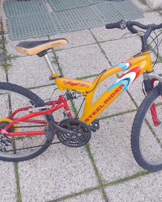 bicicleta 