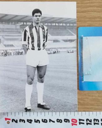 Foto cartolina Sandro Salvadore maglia Juventus