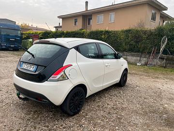Ypsilon elefantino