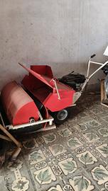 motoraccoglitore olive 