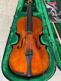 VIOLINO