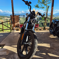 Harley Davidson Nightster 975 2024