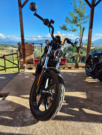 Harley Davidson Nightster 975 2024