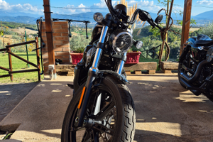 Harley Davidson Nightster 975 2024