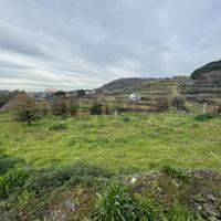 Terreno - Trecastagni