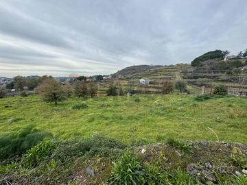 Terreno - Trecastagni