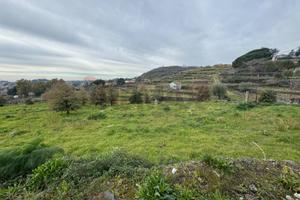 Terreno - Trecastagni