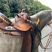 Sella Western Crates