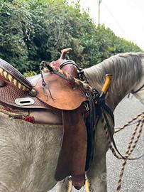 Sella Western Crates