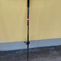 Canna da pesca telescopica 8m