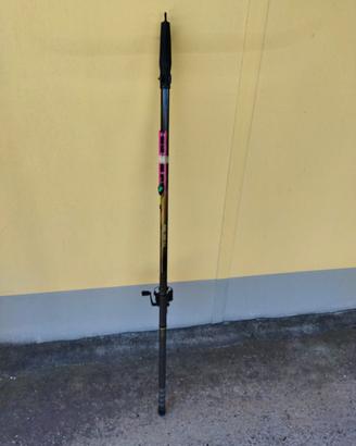 Canna da pesca telescopica 8m