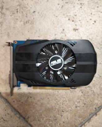 Scheda video Asus gt 1030 OC
